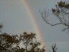 rainbow03_thumb.jpg