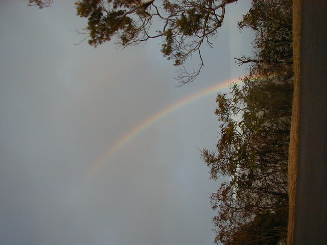 rainbow04.jpg