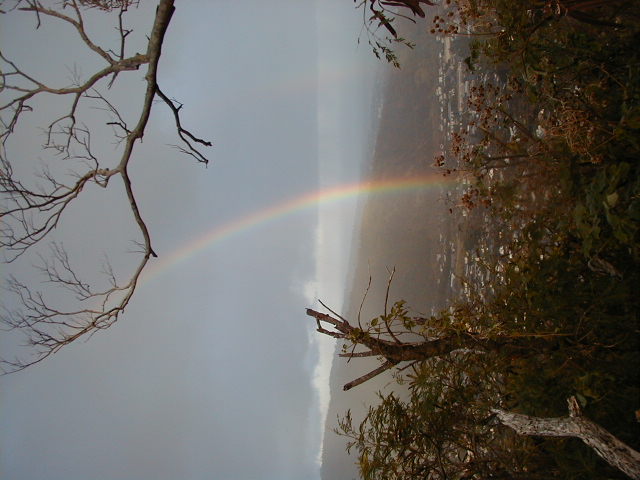 rainbow05.jpg