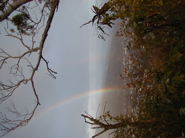 rainbow06.jpg