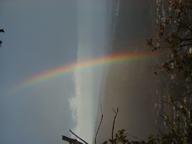 rainbow07.jpg