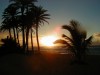 sunset22_thumb.jpg