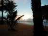 sunset30_thumb.jpg