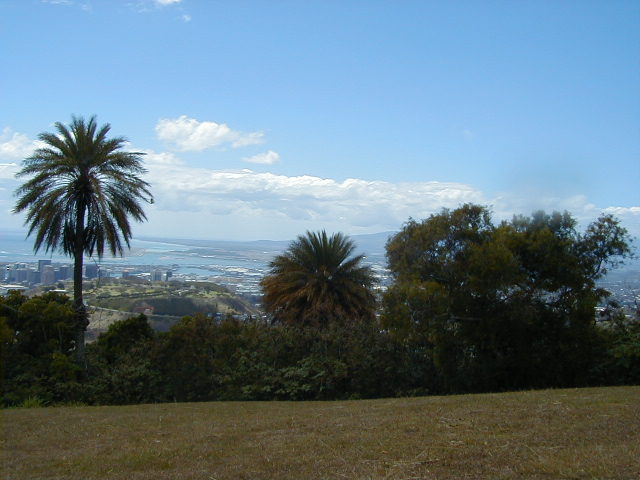 tanta06.jpg