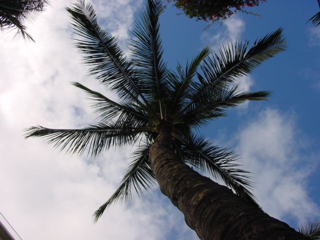 DSC00658.JPG