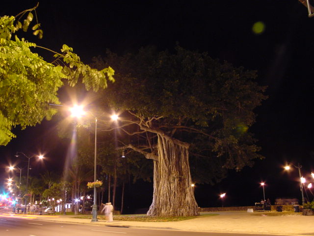 DSC00680.JPG