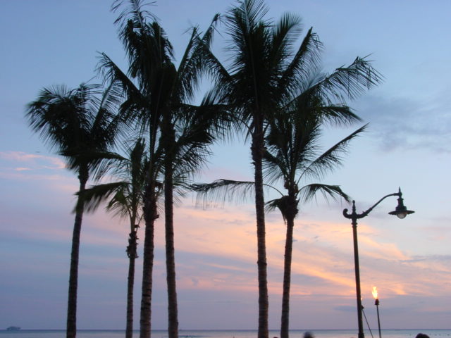 DSC00735.JPG