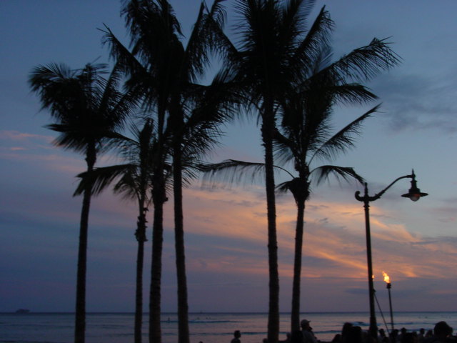 DSC00736.JPG
