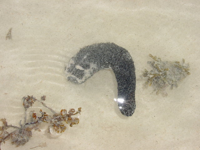 DSC00008.JPG