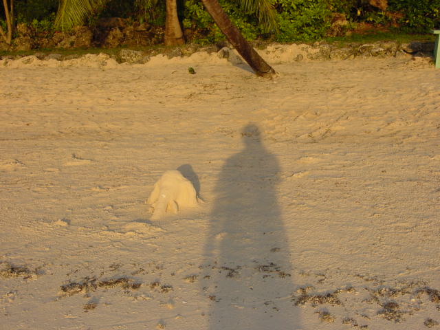 DSC00009.JPG