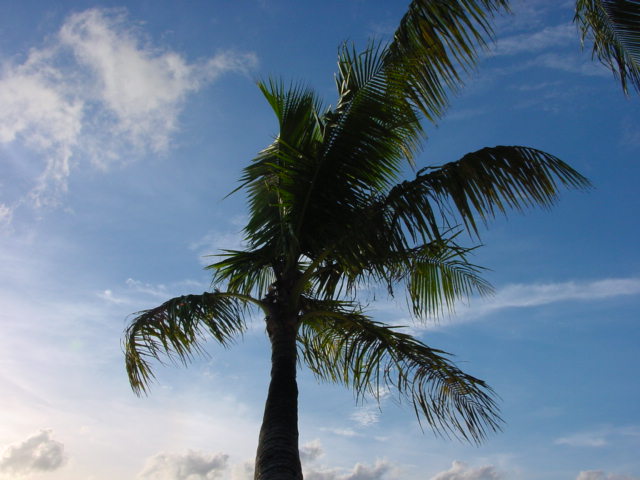 Dsc00028.jpg