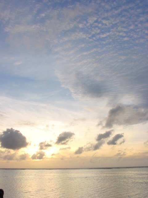 Dsc00047.jpg