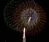 IMG_02142_thumb.jpg