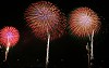 IMG_02212_thumb.jpg