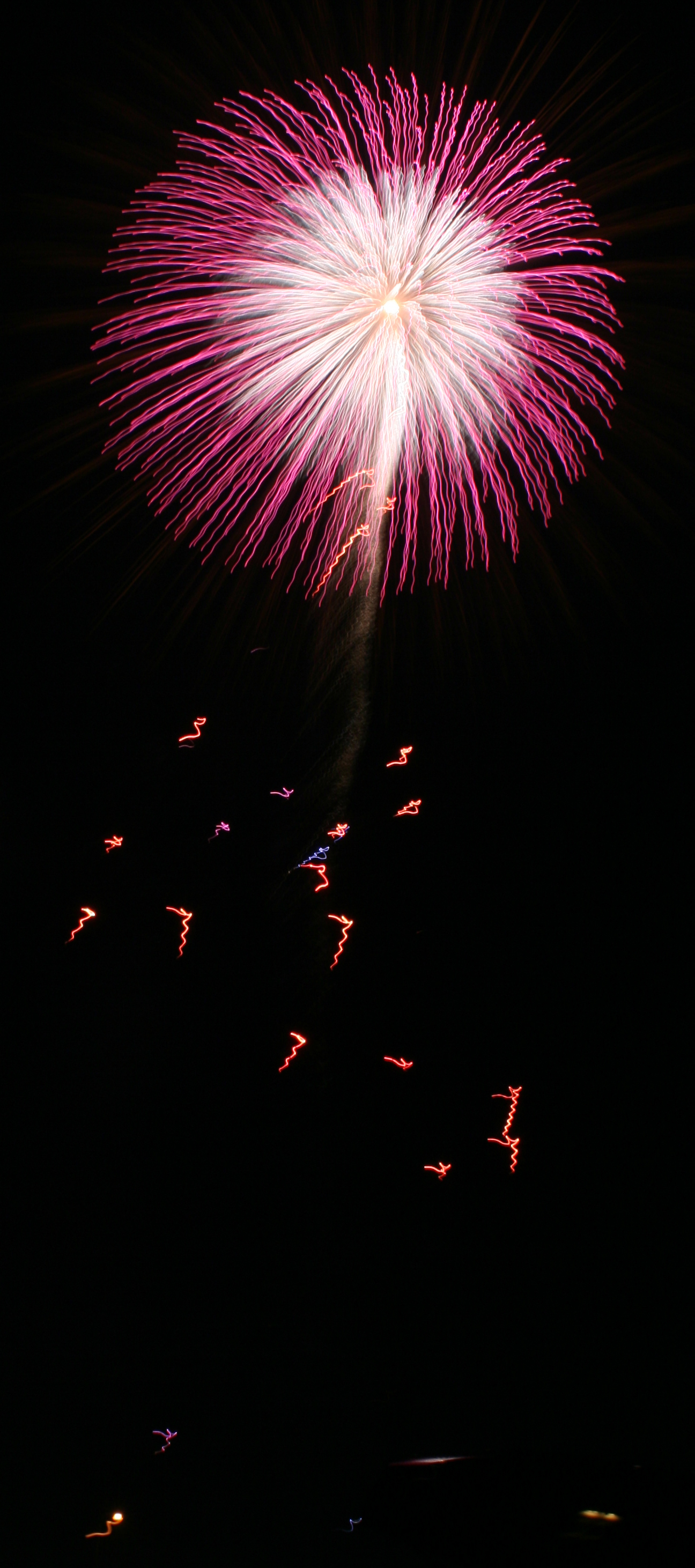 IMG_03212.JPG