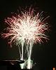 IMG_03652_thumb.jpg