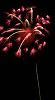IMG_05622_thumb.jpg